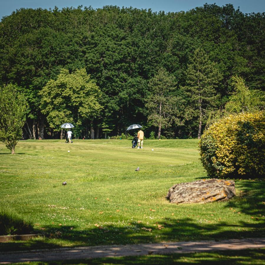 Domaine De Roiffe Hotel Luaran gambar