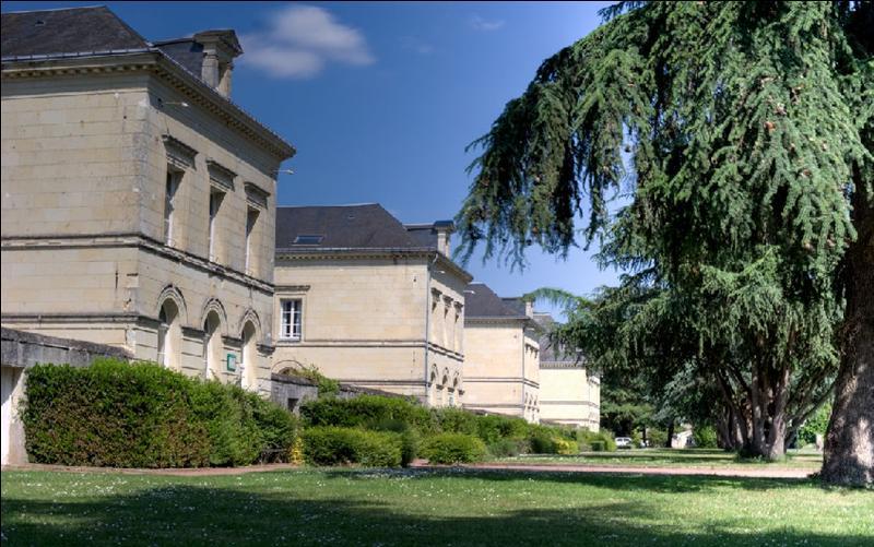 Domaine De Roiffe Hotel Luaran gambar